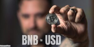 bnb to usd