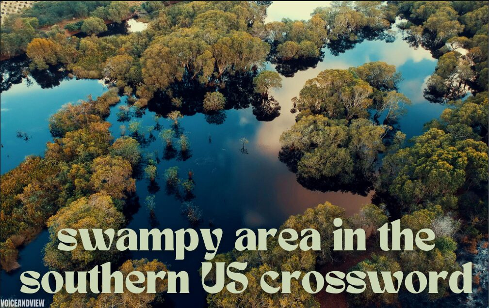 swampy area in the southern us crossword