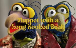 muppet with a long hooked beak