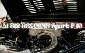 41-812 88901018 Spark P 10