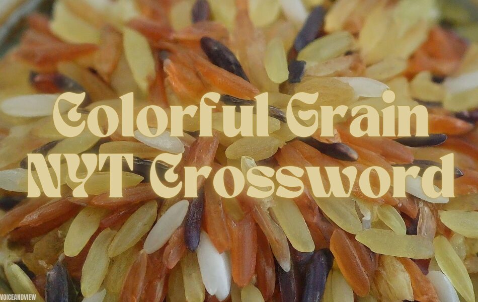 Colorful Grain NYT Crossword