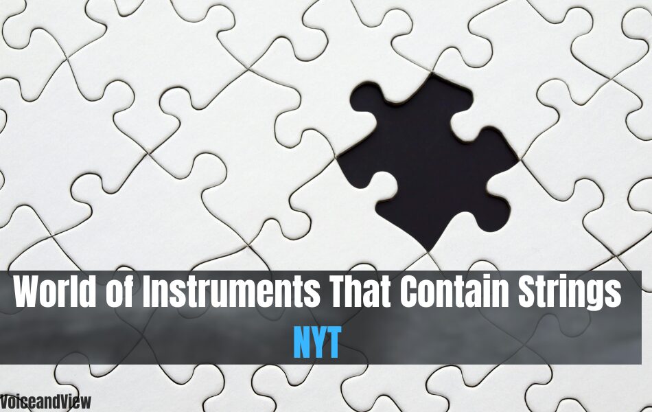 instrument that contains strings nyt