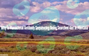 why is monoclonal antibody sequencing being searched alot in montana