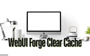 WebUI Forge Clear Cache