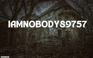 iamnobody89757