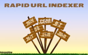 rapid url indexer