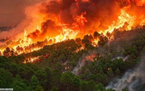 latest huguette lake forest fire